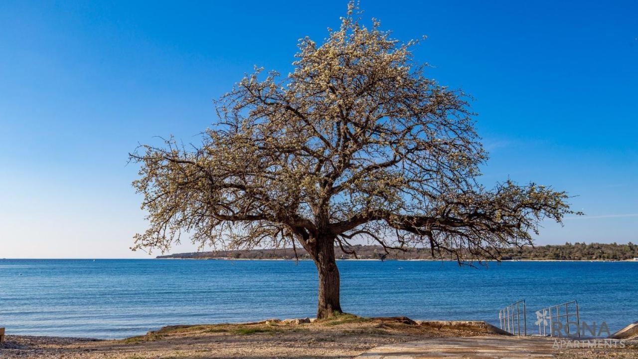 Rona Holiday Home Ana Porec Bagian luar foto